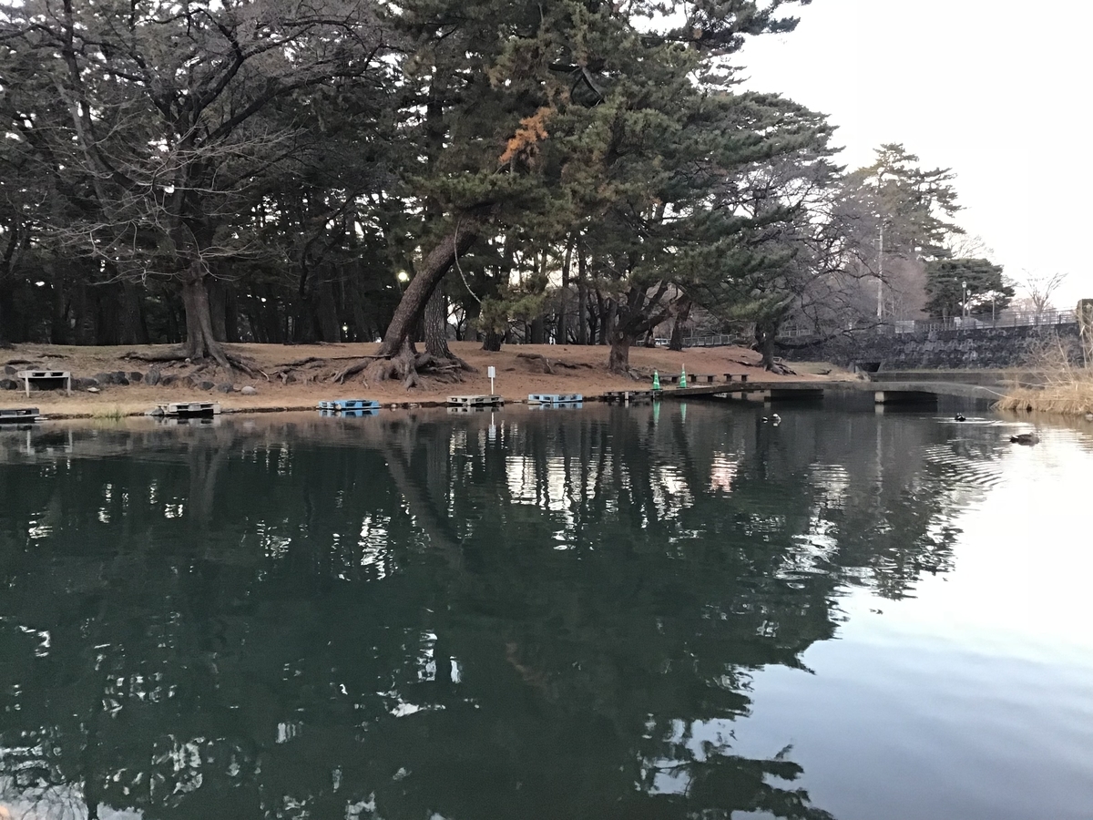 f:id:sanchan_neo:20220103184651j:plain