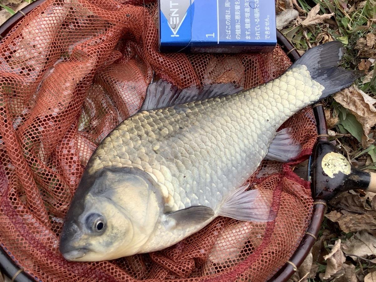 f:id:sanchan_neo:20220314193305j:plain