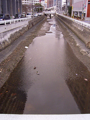 橋（1）　2009.1/13　薬院