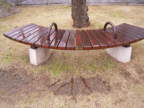 足　2009.1/14　箱崎