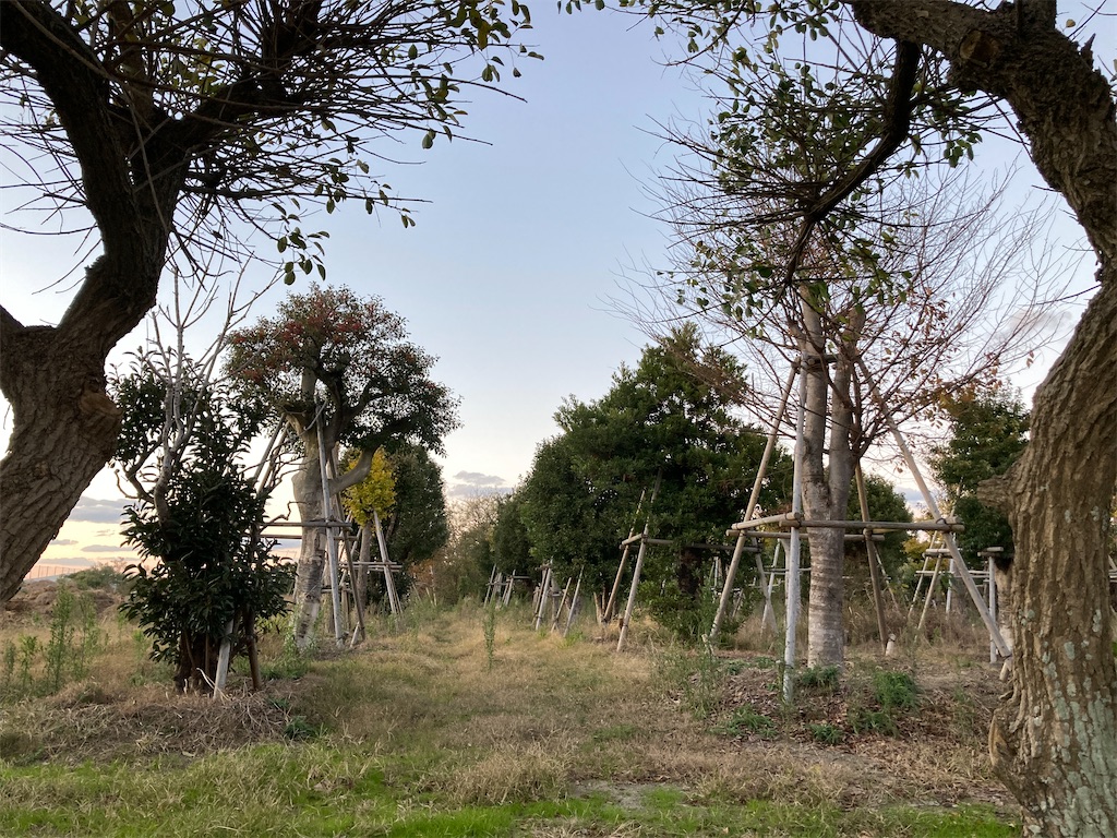 f:id:sanchiroku:20241210172928j:image