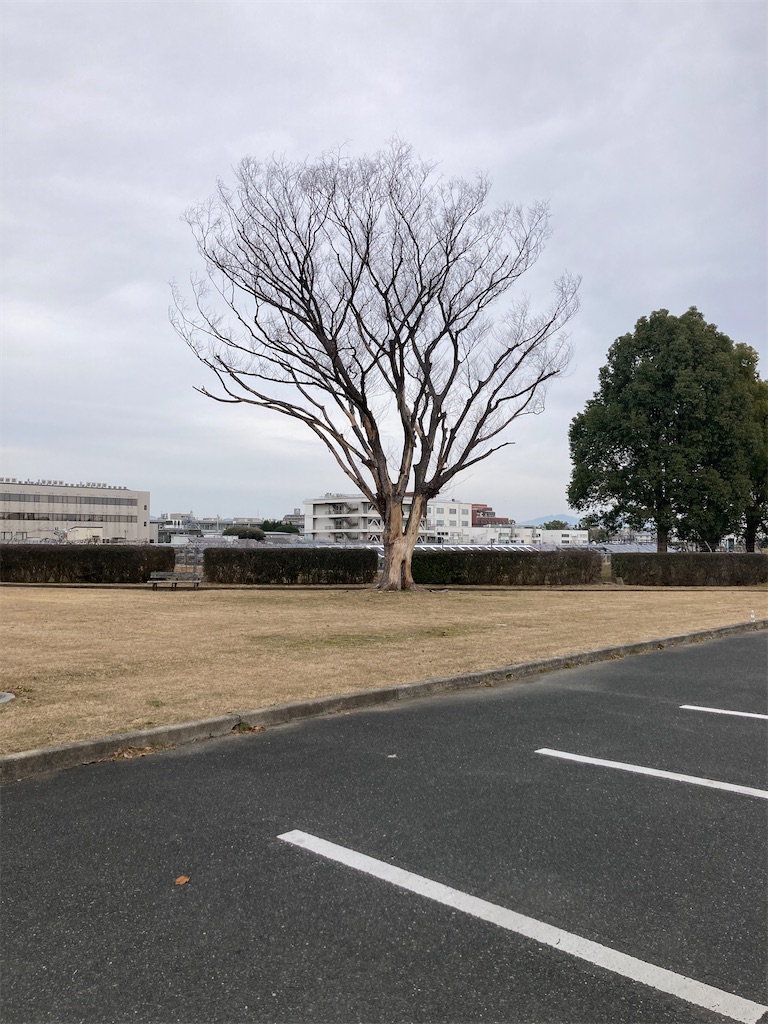 f:id:sanchiroku:20250114125511j:image f:id:sanchiroku:20250114125511j:image