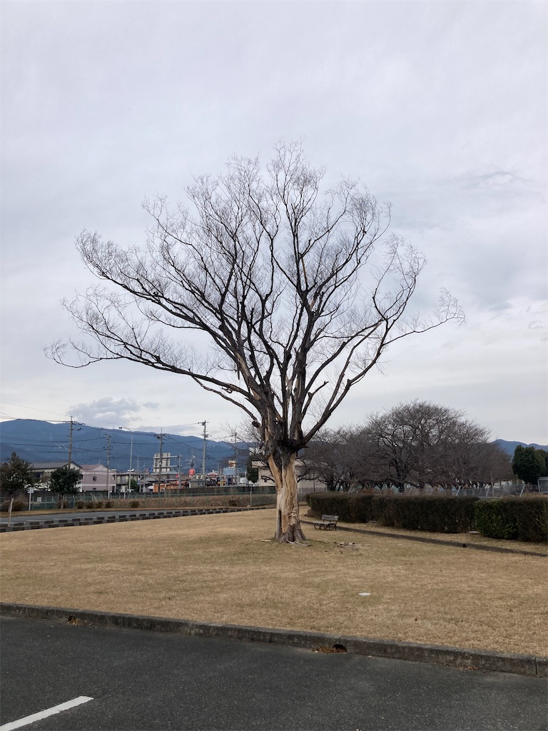 f:id:sanchiroku:20250114125947j:image f:id:sanchiroku:20250114125947j:image