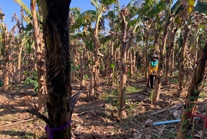 f:id:sancyoku:20220316100242j:plain