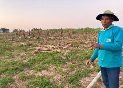 f:id:sancyoku:20220316100356j:plain