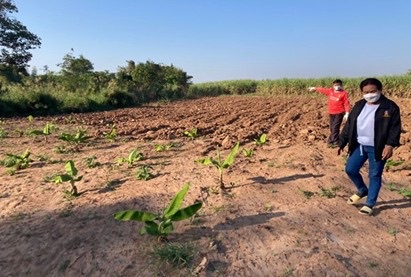 f:id:sancyoku:20220316100530j:plain