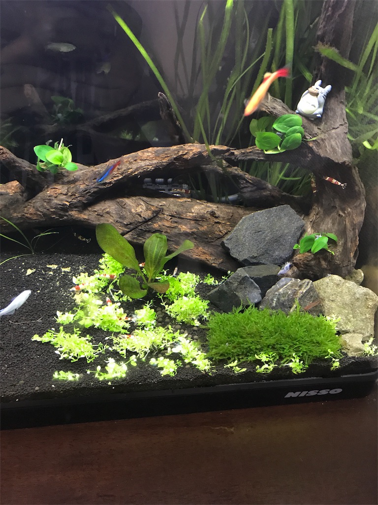 f:id:sand-monkey:20180527143705j:image
