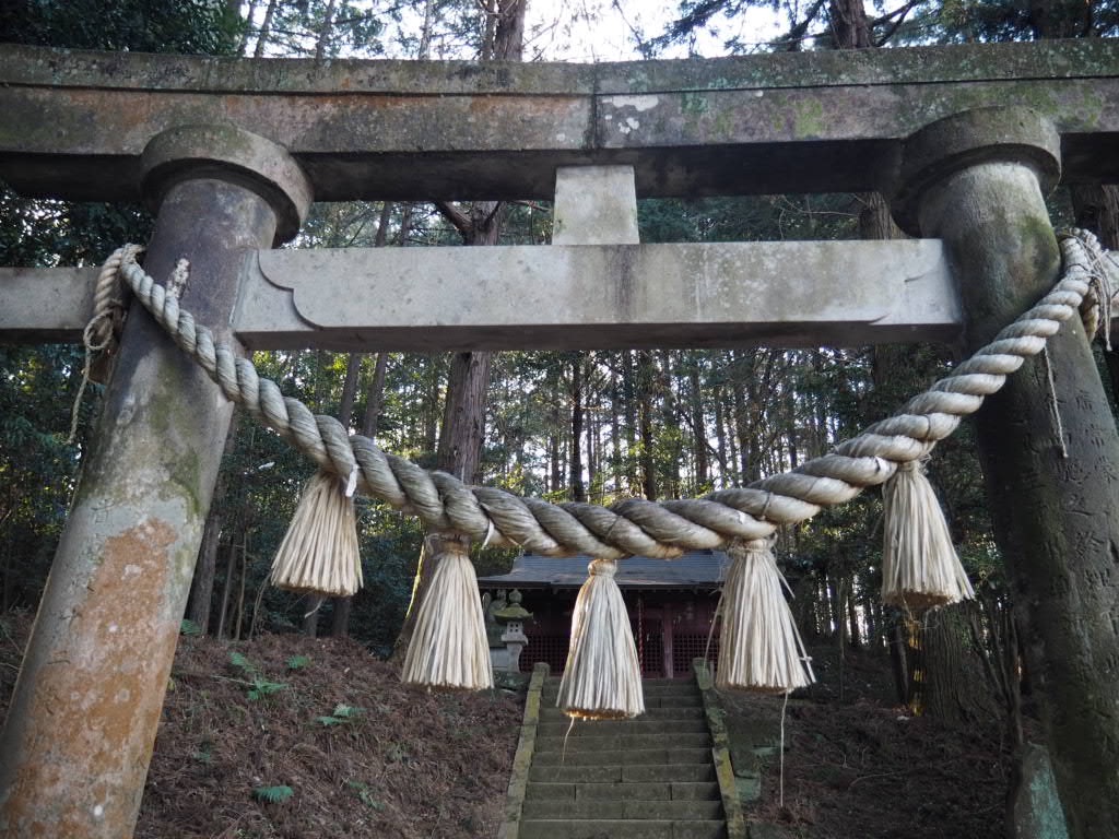 f:id:sandalwood73:20260201201332j:image