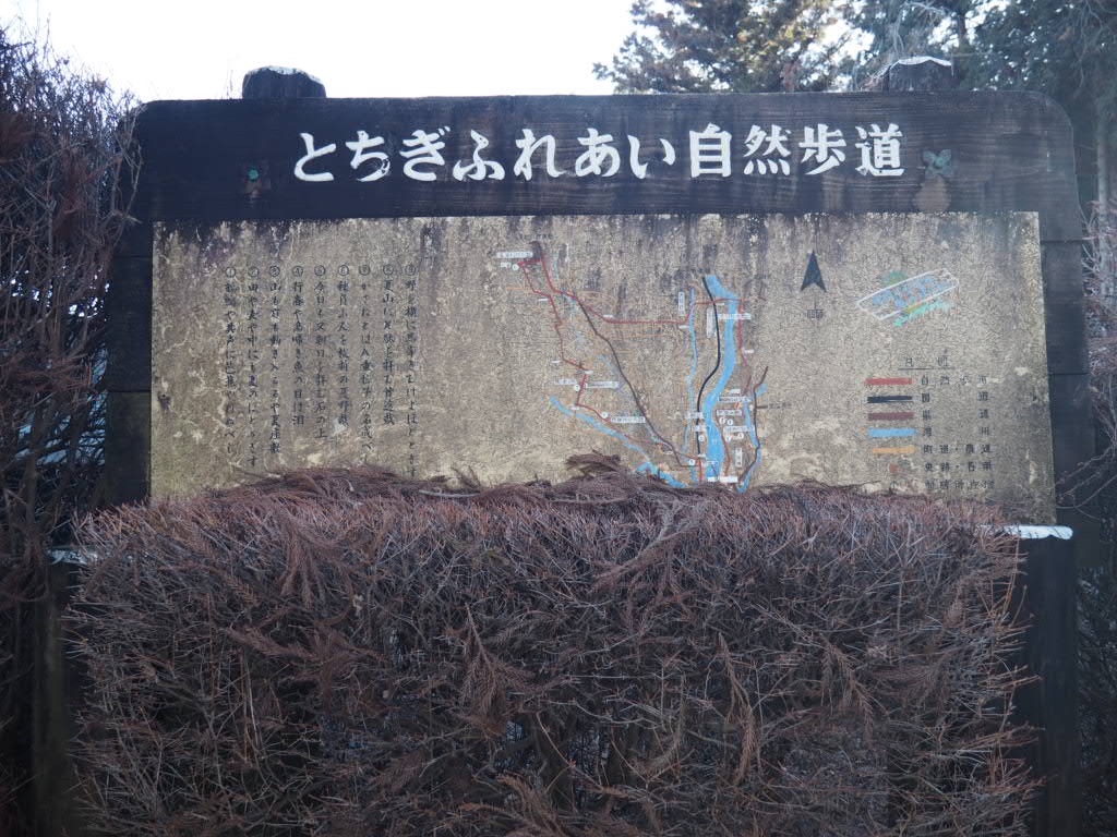 f:id:sandalwood73:20260201201336j:image