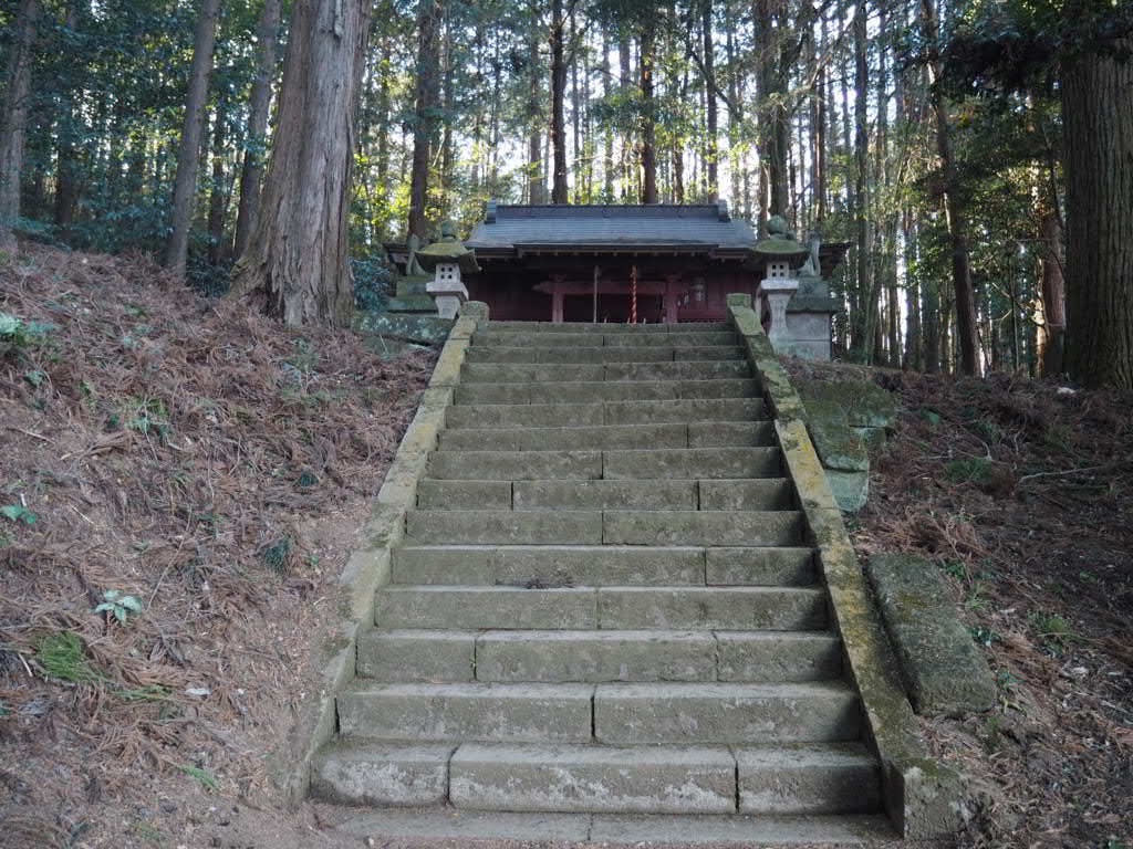 f:id:sandalwood73:20260201201346j:image