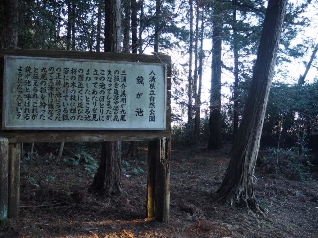 f:id:sandalwood73:20260201201408j:image