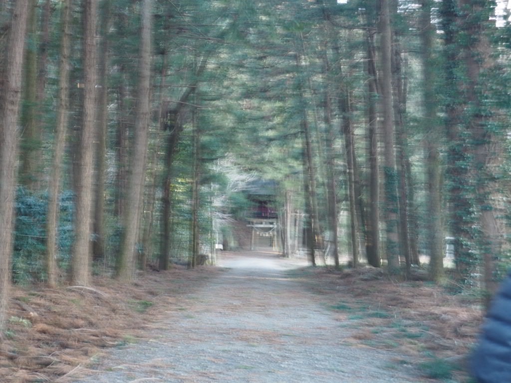 f:id:sandalwood73:20260201201415j:image