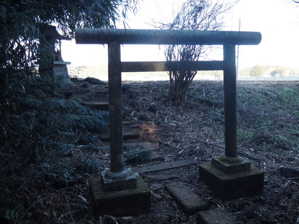 f:id:sandalwood73:20260201201419j:image