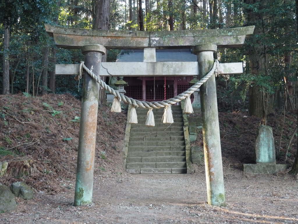 f:id:sandalwood73:20260201201428j:image