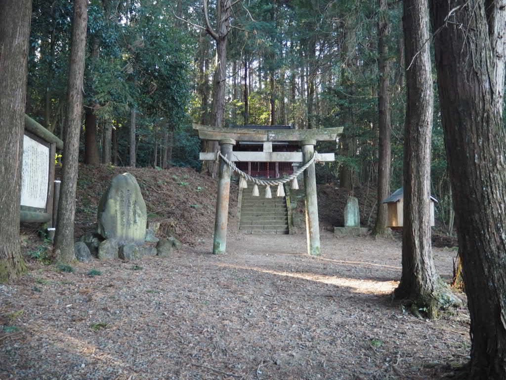 f:id:sandalwood73:20260201201447j:image