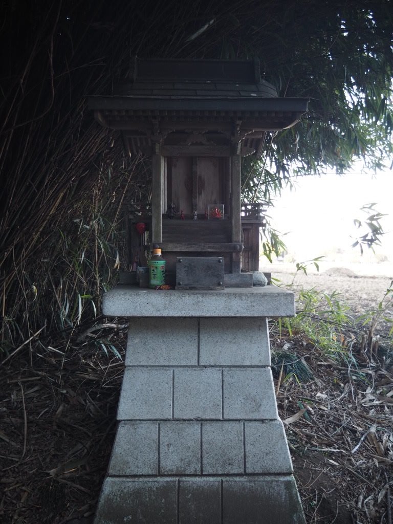 f:id:sandalwood73:20260201201451j:image