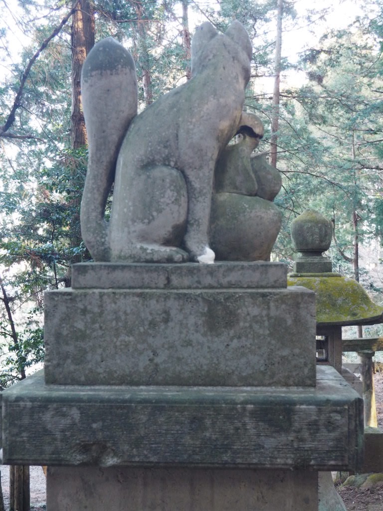 f:id:sandalwood73:20260201201624j:image