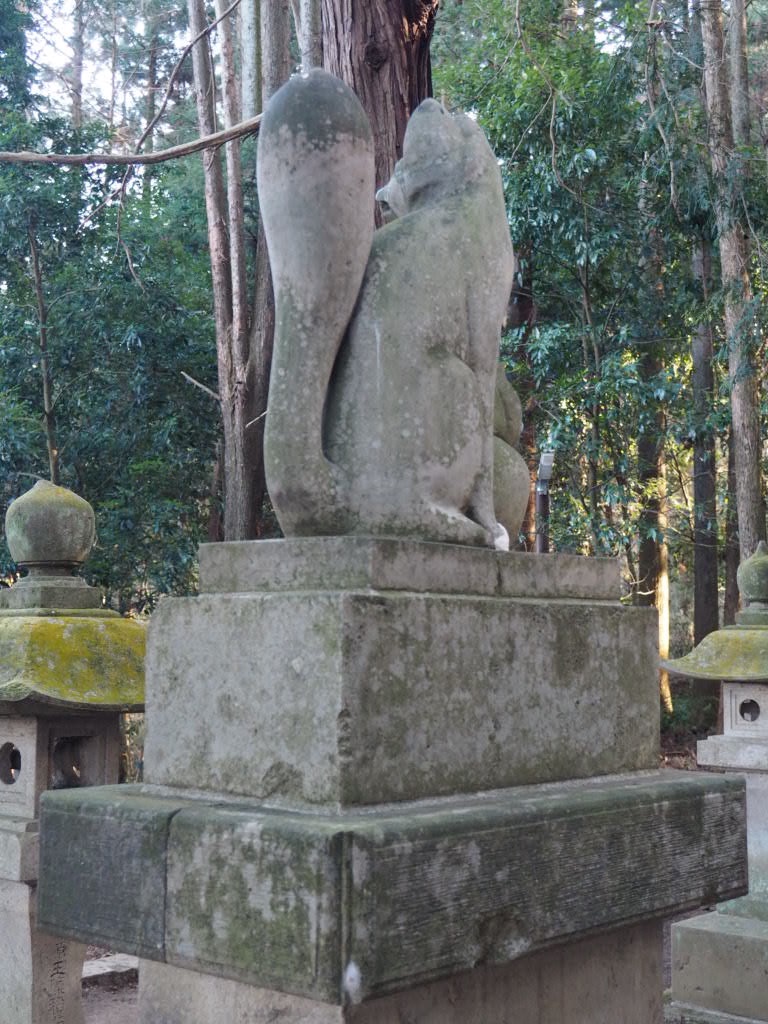 f:id:sandalwood73:20260201201631j:image