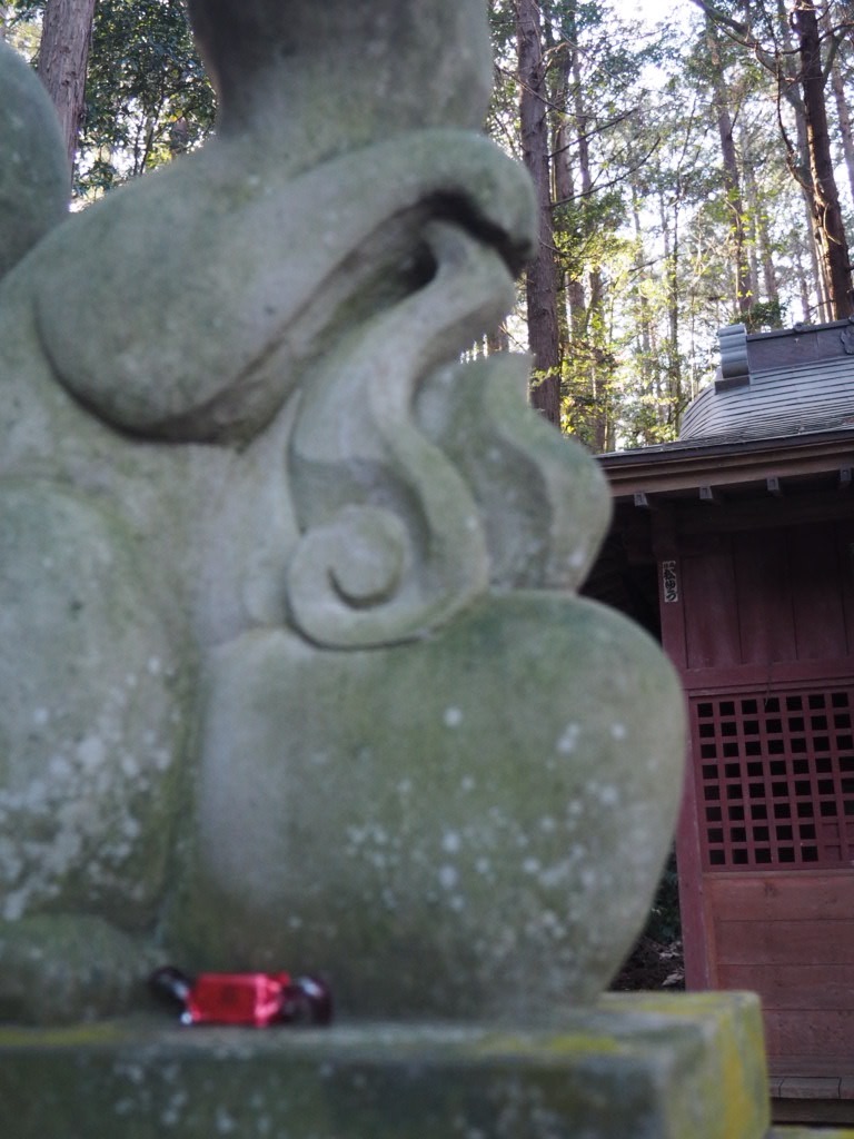 f:id:sandalwood73:20260201201640j:image