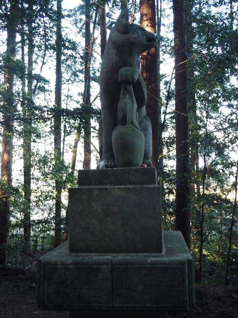 f:id:sandalwood73:20260201201644j:image