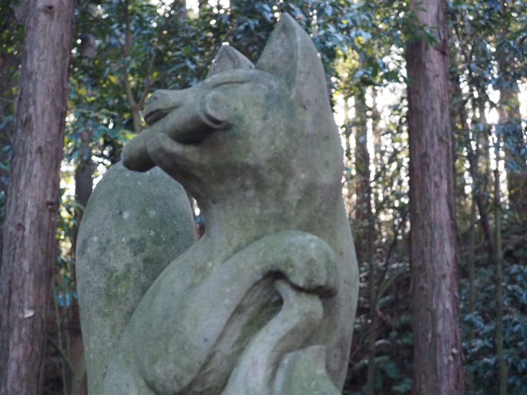 f:id:sandalwood73:20260201201647j:image