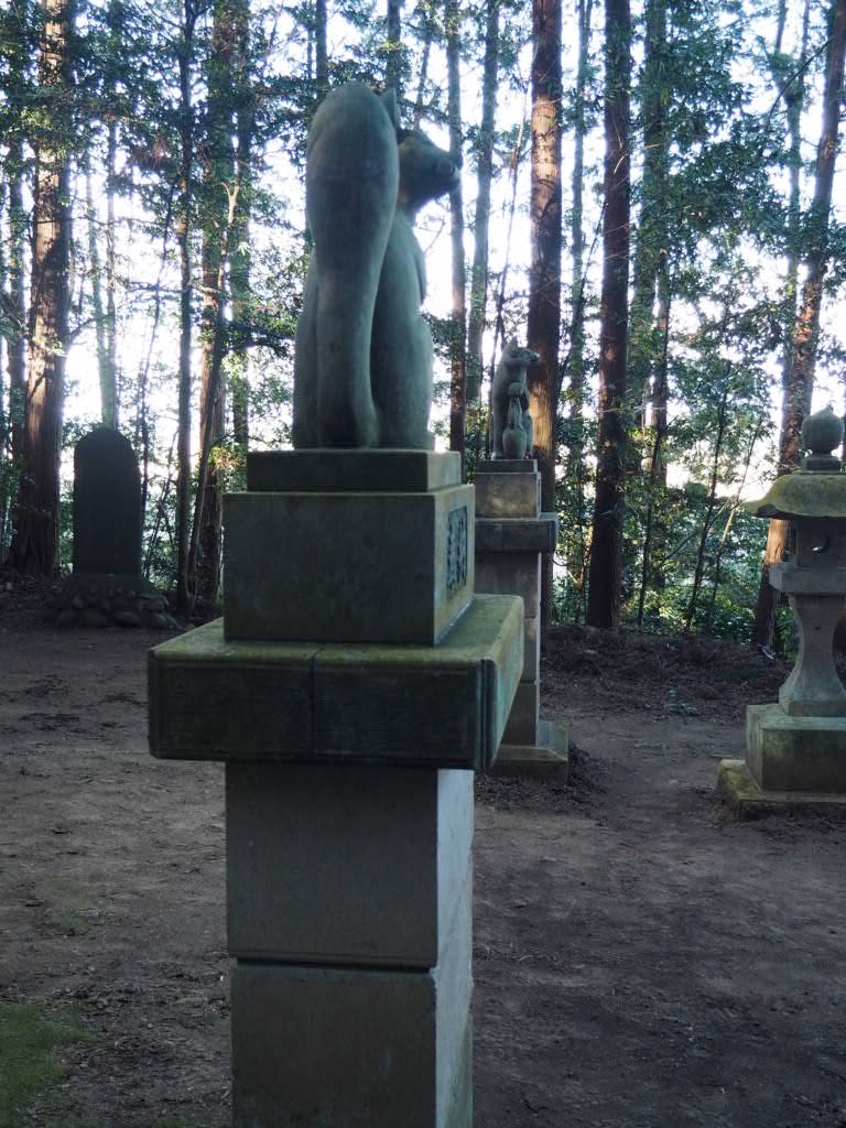 f:id:sandalwood73:20260201201706j:image