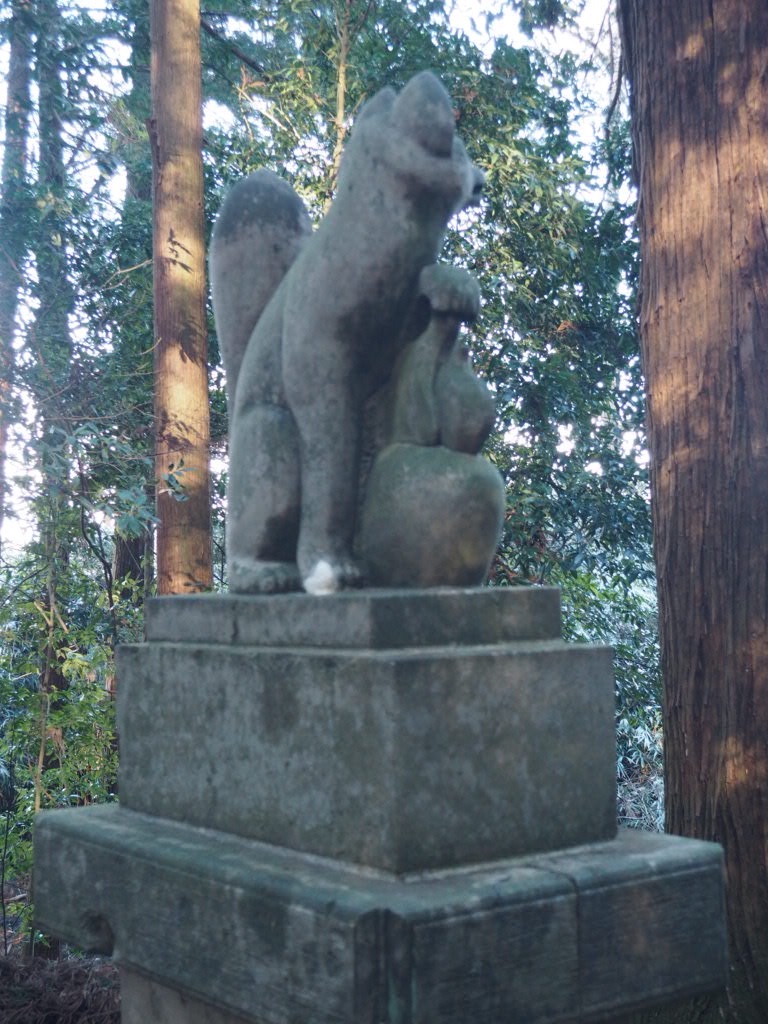 f:id:sandalwood73:20260201201713j:image