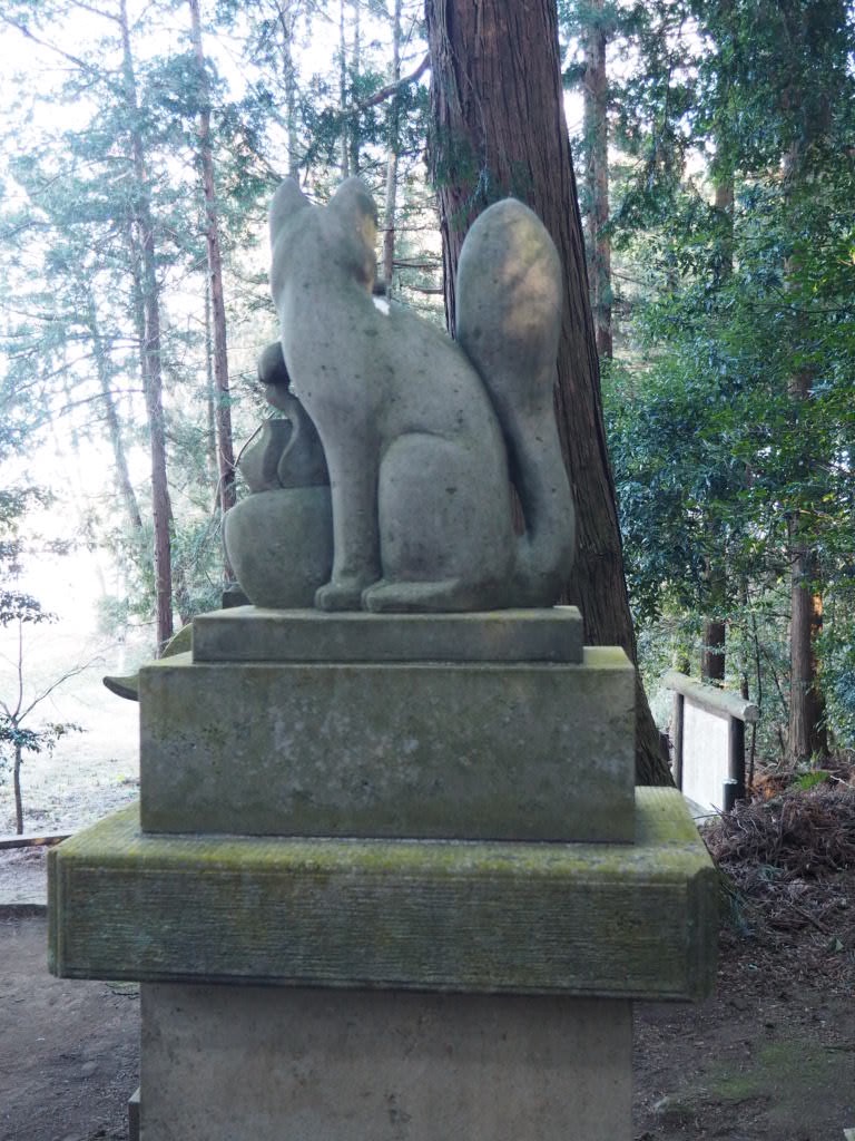 f:id:sandalwood73:20260201201717j:image