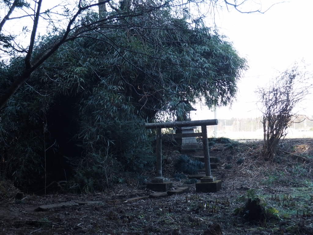 f:id:sandalwood73:20260201202009j:image