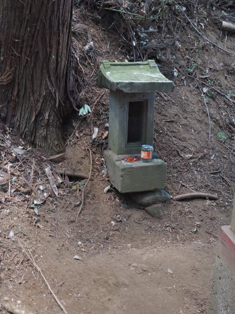 f:id:sandalwood73:20260201202113j:image