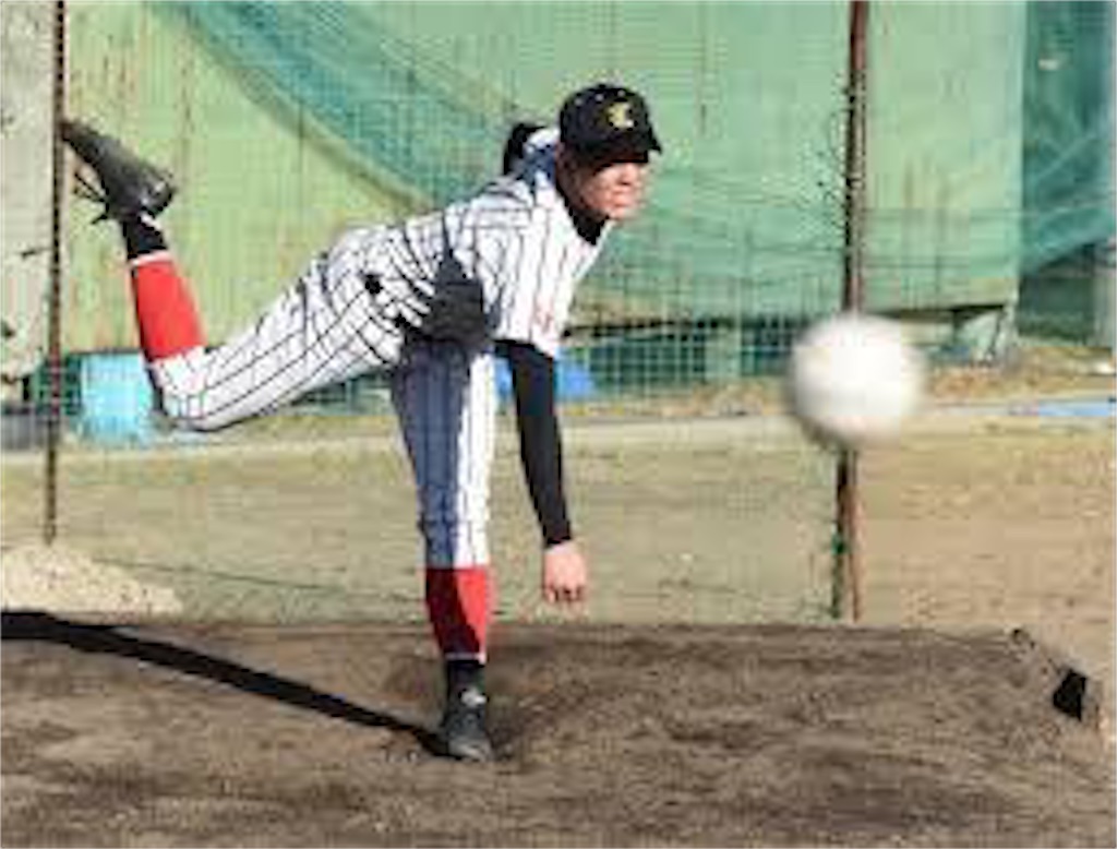 f:id:sandlotbaseballpitcher:20200412111002j:image f:id:sandlotbaseballpitcher:20200412111002j:image