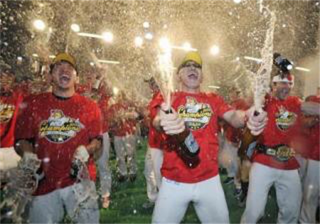 f:id:sandlotbaseballpitcher:20200413215653j:image f:id:sandlotbaseballpitcher:20200413215653j:image