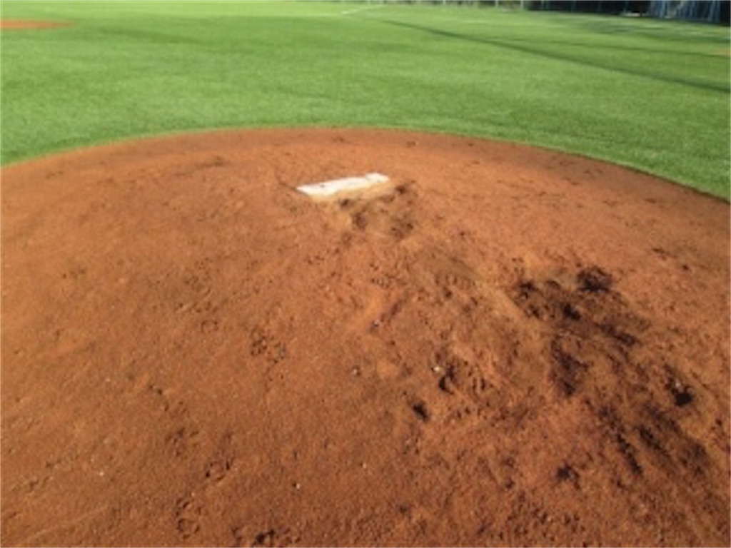 f:id:sandlotbaseballpitcher:20200422231602j:image f:id:sandlotbaseballpitcher:20200422231602j:image