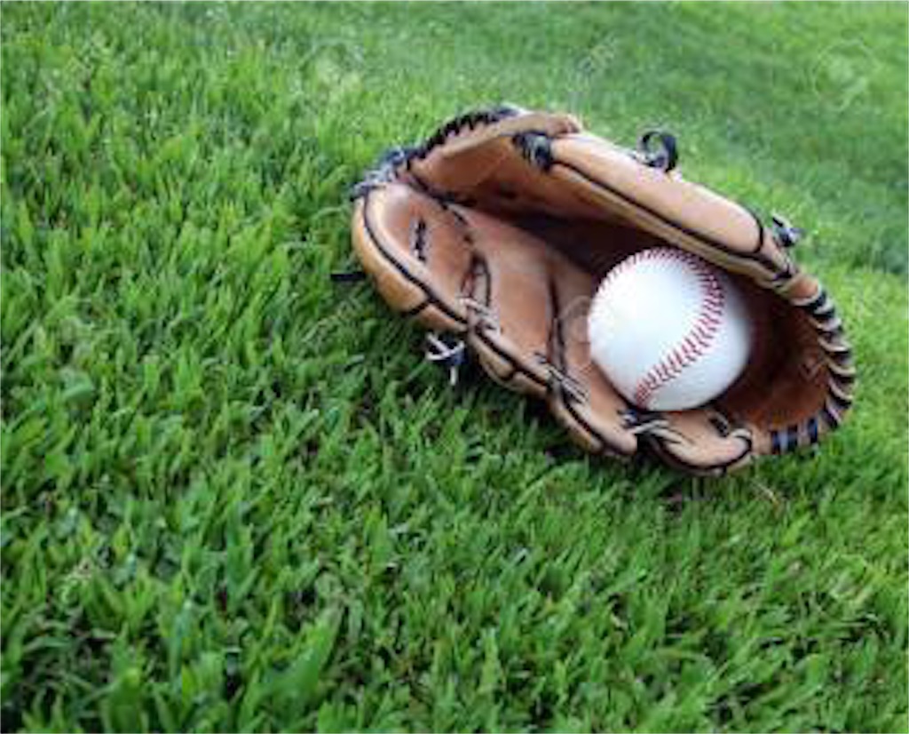 f:id:sandlotbaseballpitcher:20200423214034j:image f:id:sandlotbaseballpitcher:20200423214034j:image