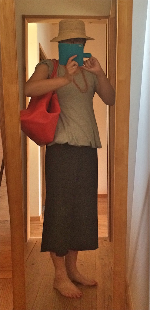 f:id:sandonigifu:20160808104145j:image