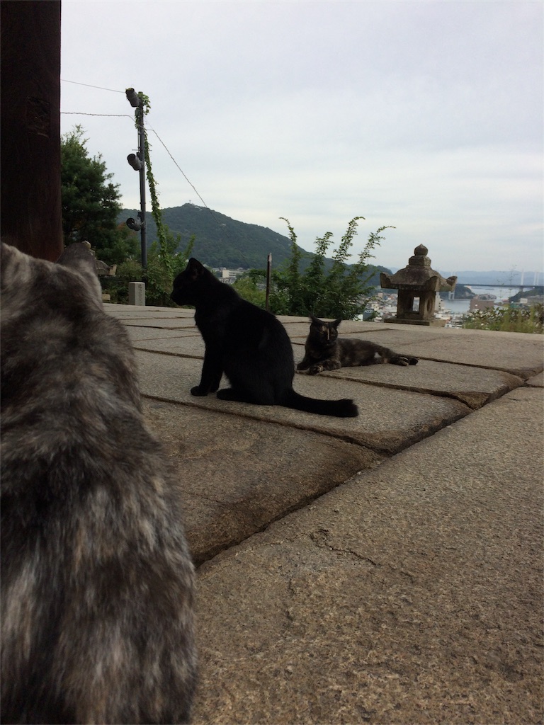 f:id:sandonigifu:20161016100940j:image