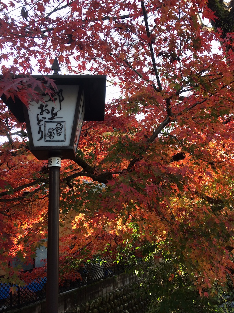 f:id:sandonigifu:20161124065635j:image f:id:sandonigifu:20161124065635j:image
