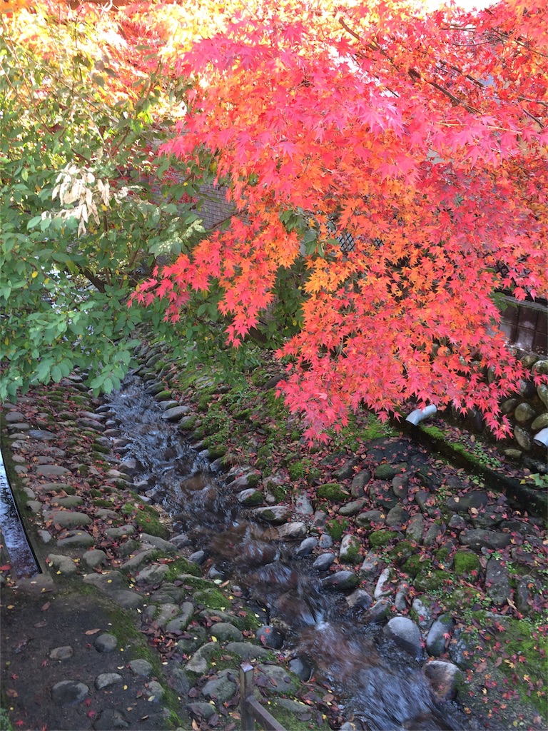 f:id:sandonigifu:20161124065651j:image f:id:sandonigifu:20161124065651j:image