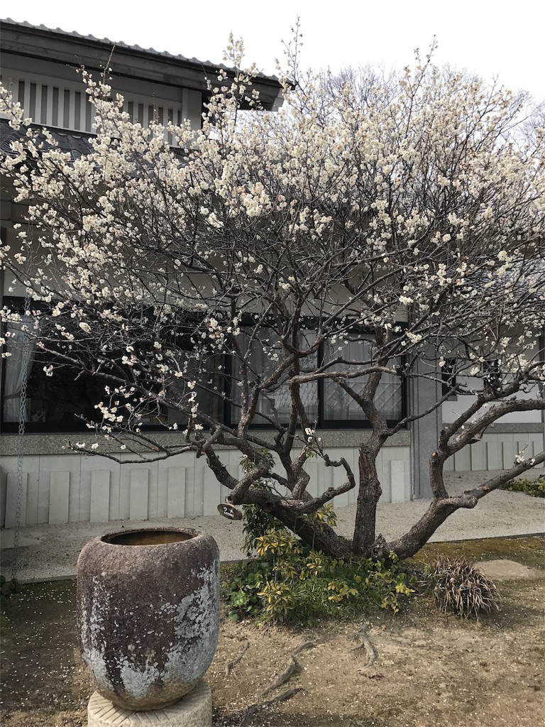 f:id:sandonigifu:20170306072154j:image