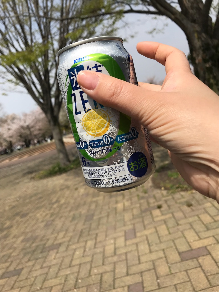 f:id:sandonigifu:20180402082243j:image