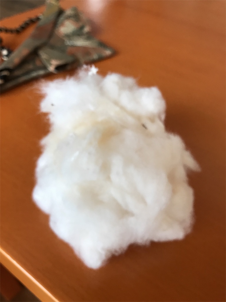 f:id:sandonigifu:20180508123055j:image