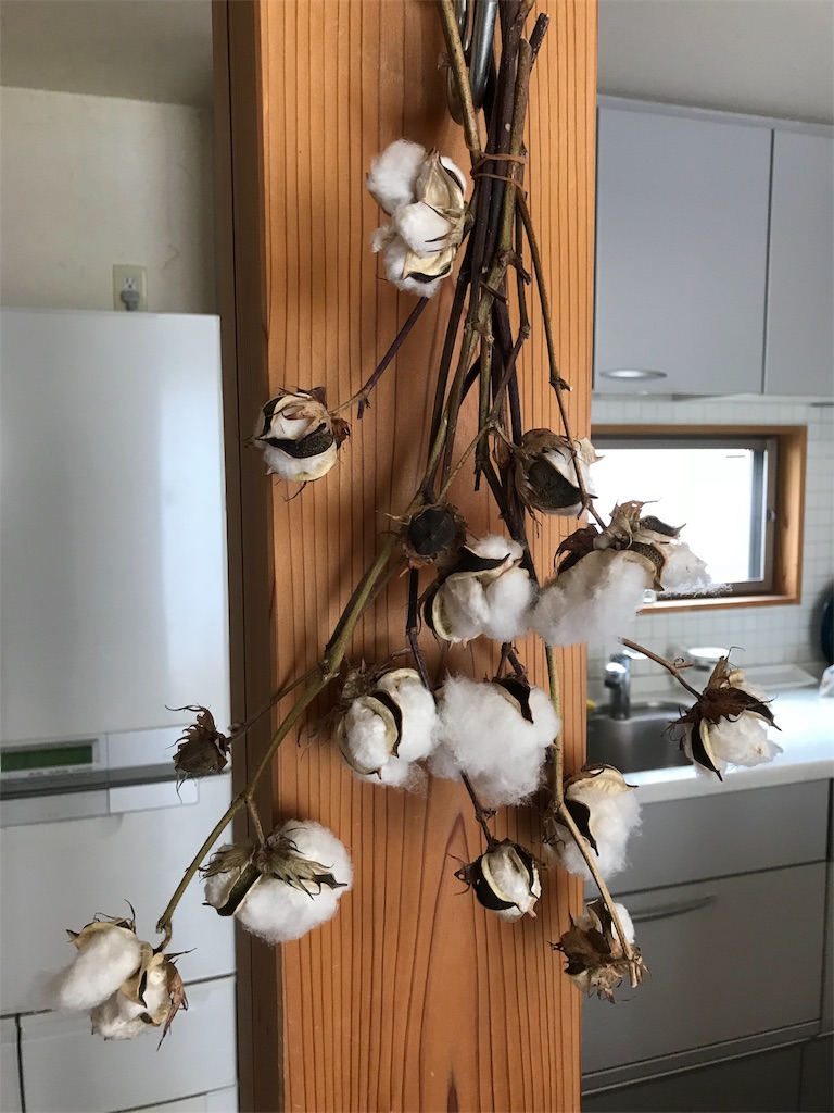 f:id:sandonigifu:20180508123421j:image