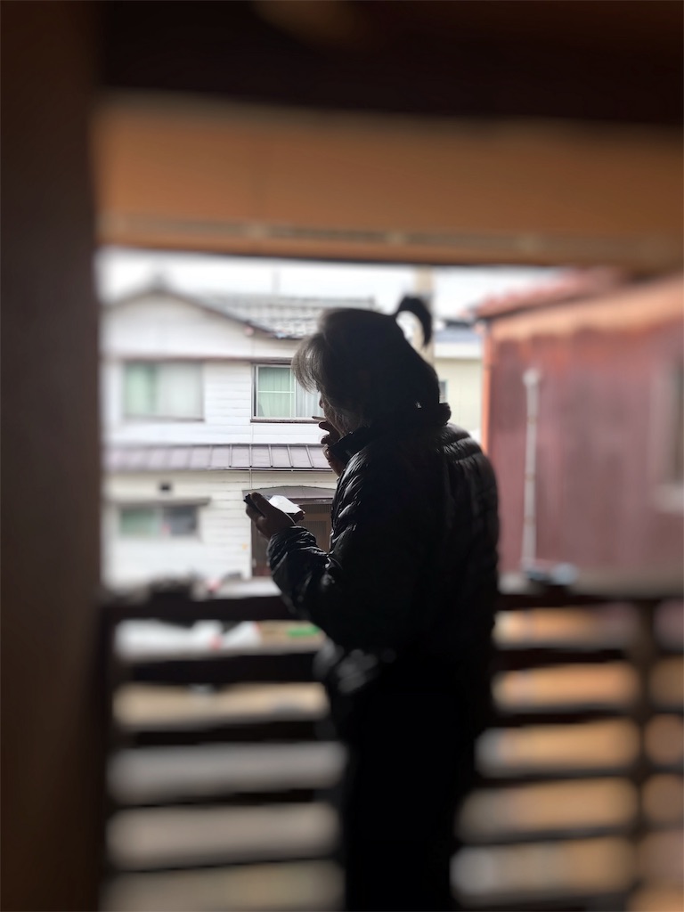 f:id:sandonigifu:20181229065224j:image