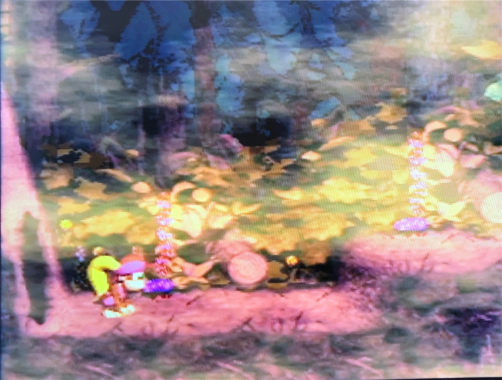 f:id:sanemotosuperfamicom:20200502122105j:image f:id:sanemotosuperfamicom:20200502122105j:image