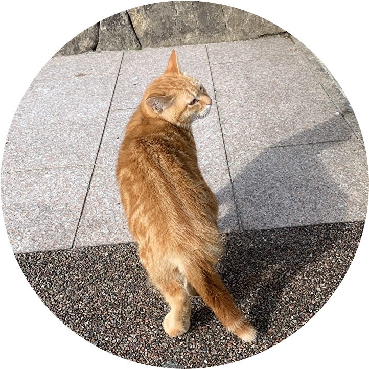 セクマイとは 一般の人気 最新記事を集めました はてな セクマイとは 一般の人気 最新記事を集めました はてな