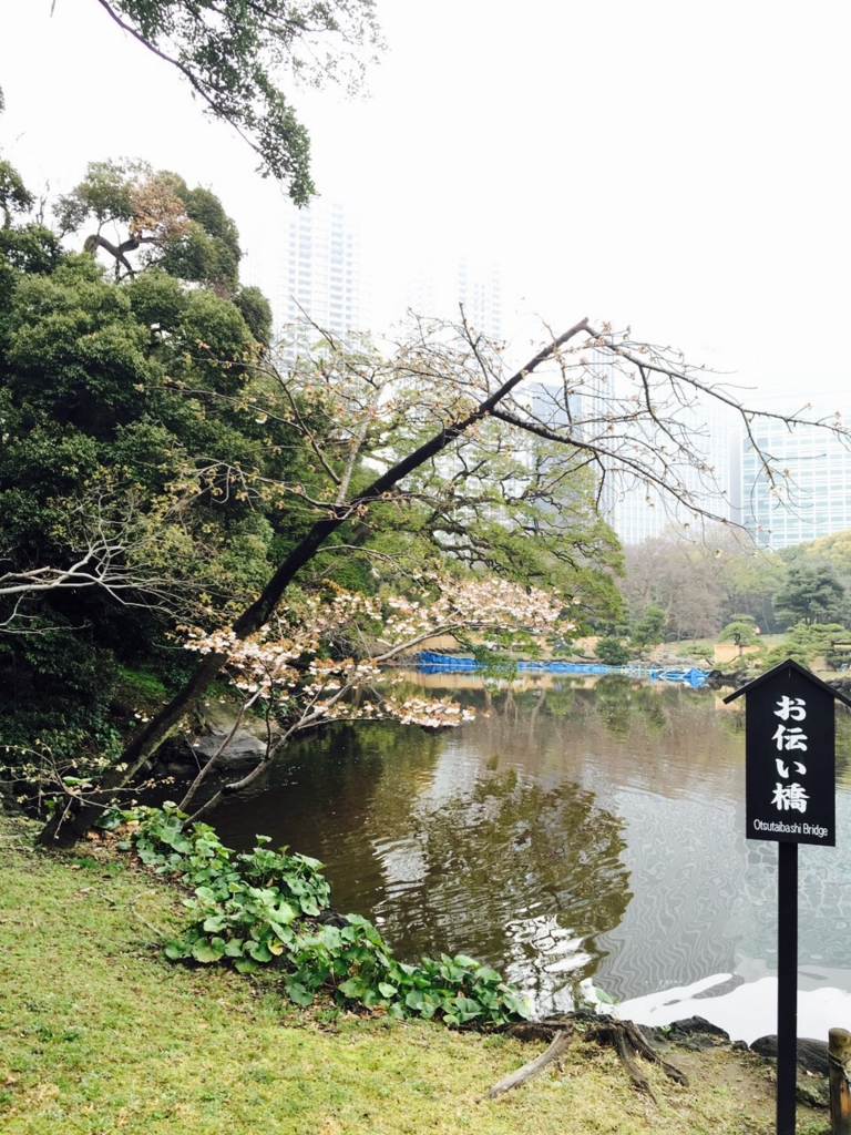 f:id:saneyuu:20160406205501j:plain:w400