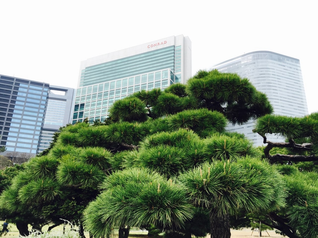 f:id:saneyuu:20160406210128j:plain:w400