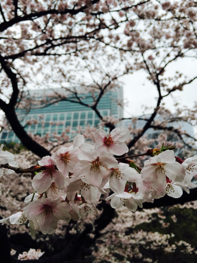 f:id:saneyuu:20160406212125j:plain:w400