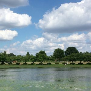 みさと公園を望む