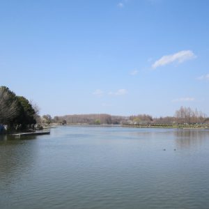 水元公園 4月